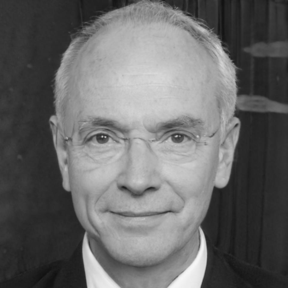 Carlos Mendoza, Analista Senior